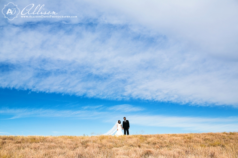 Rubina & Stephen:Bride & Groom Portraits at The Arbor Hills Nature ...