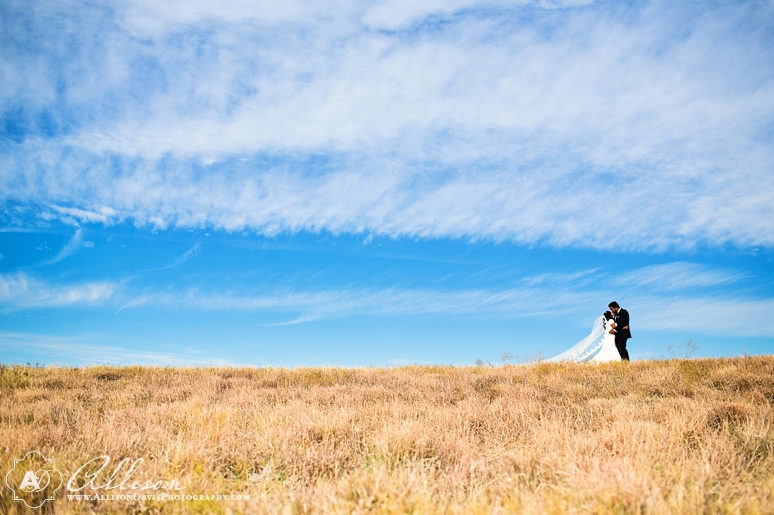 Rubina & Stephen:bride & Groom Portraits At The Arbor Hills Nature 